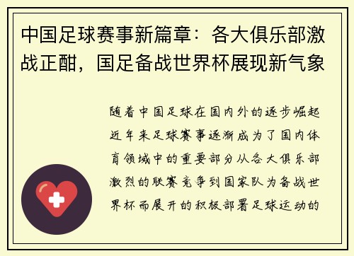中国足球赛事新篇章：各大俱乐部激战正酣，国足备战世界杯展现新气象