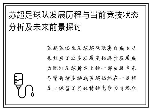 苏超足球队发展历程与当前竞技状态分析及未来前景探讨